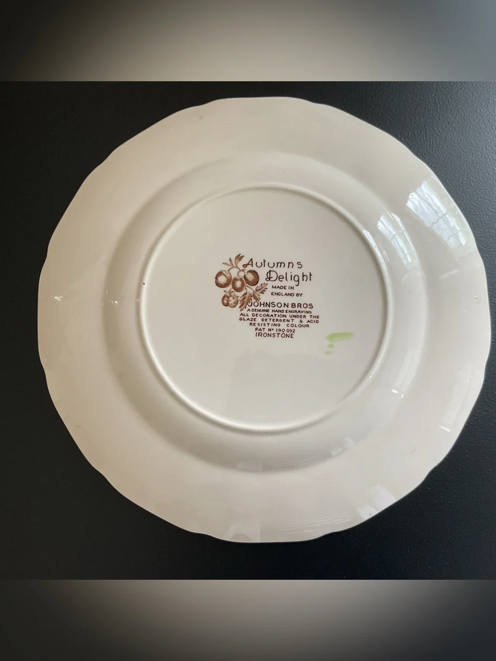 Vintage 	1960s/1970s Johnson Bros Autumns Delight Dinner Plates Set of 2
